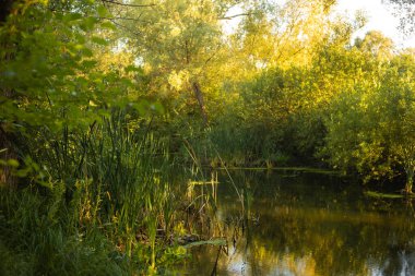 Altın Gün batımı Göle Yansıtılıyor