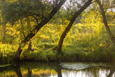 Altın Gün batımı Göle Yansıtılıyor