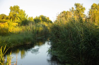 Altın Gün batımı Göle Yansıtılıyor