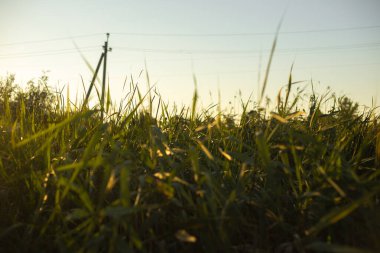 Altın Gün batımı Göle Yansıtılıyor