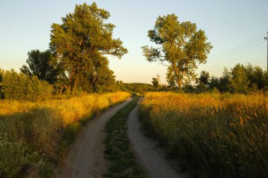 Altın Gün batımı Göle Yansıtılıyor