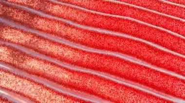 Soyut 3D yatay bilgisayar ekranı şenlik arka planlarını ışıldatıyor Mutlu Noeller kutsal şeker kamışı desenleri biçimlendirilmiş poster boş uzay döngüsü animasyon sosyal medya modası mevsimsel