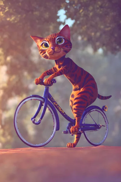 Śmieszny Kot Rowerze Siedzący Rowerze Patrzący Ciebie — Zdjęcie stockowe