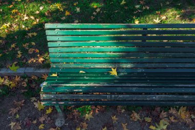 Empty wooden green bench at a park with fallen leaves during fall.