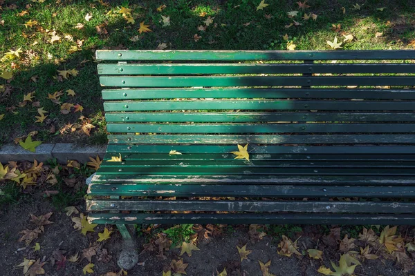 Empty wooden green bench at a park with fallen leaves during fall.