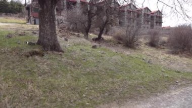 Yunanistan 'ın Agios Athanasios kentindeki dağ evleri ve kırmızı kiremit çatıları ile geleneksel köy yerleşkeleri.