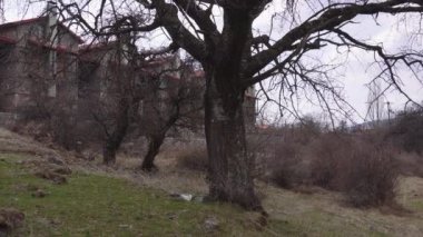 Yunanistan 'ın Agios Athanasios kentindeki dağ evleri ve kırmızı kiremit çatıları ile geleneksel köy yerleşkeleri.