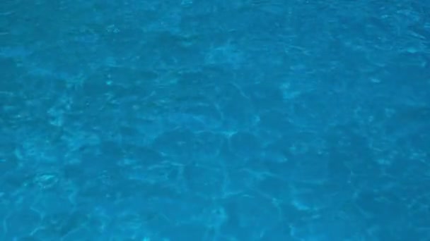 Águas Cristalinas Calmas Turquesa Vista Superior Com Reflexão Sol Dia — Vídeo de Stock