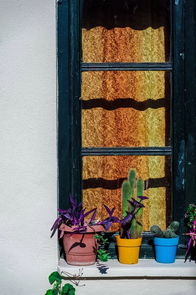 Macetas Colores Con Cactus Flores Fuera Una Casa Con Una — Foto de Stock