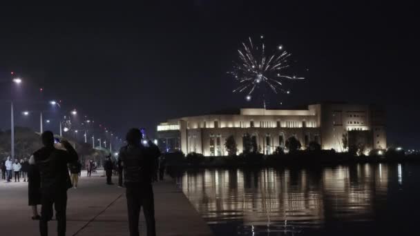 ギリシャのテッサロニキ 2024年1月1日 夜に建物の上に花火を見たり 写真を撮ったり 都市のウォーターフロントから見た新年イブパイロテクニック — ストック動画