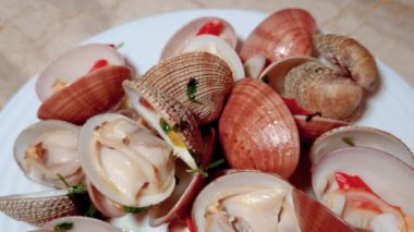 Taze pişmiş taze, kabuklu, açık Venüs istiridyeleri, yakın çekim beyaz tabakta servis edilir..