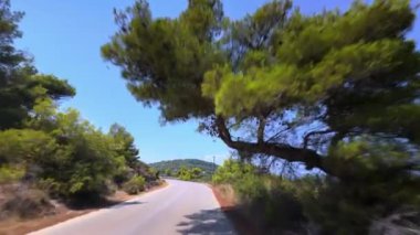 Otomobilin ön tarafı POV gündüz manzaralı kırsal manzaralı sahil yolunda yeşil bitki örtüsü ve arka planda dağınık evler etrafında dönüyor..