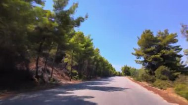 Otomobilin ön tarafı POV gündüz manzaralı kırsal manzaralı boş asfalt yolda mavi gökyüzünün altında yeşil ağaçlar var..