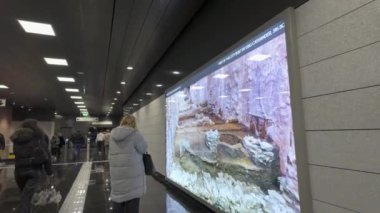 Selanik, Yunanistan - 30 Kasım 2024: Agias Sofias metro terminali içindeki arkeolojik sergilere hayran kitle.