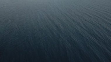 Yunanistan 'ın Chalkidiki yarımadasındaki Akdeniz' de yeşil bitki örtüsü ve kayalık kıyı şeritlerinin üzerinde gün uçuyor.