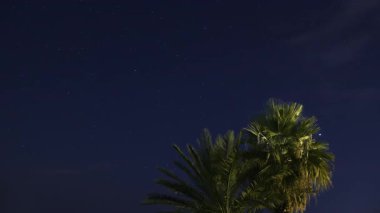 Tropikal palmiye ağaçları tarafından çerçevelenmiş, Dünya 'nın üzerinde dönen yıldızların hızlandırılmış görüntüsü. Astronomi ve doğanın büyüleyici bir karışımı, seyahat ve gece gökyüzü temaları için mükemmel..