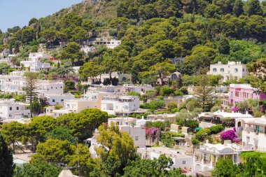 Capri Adası, İtalya 'nın canlı mimarisi ile kıyı güzelliğinin çarpıcı bir manzarası.