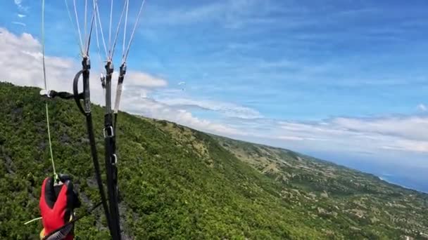 Paragliding Auf Einer Tropischen Insel Hochwertiges Filmmaterial — Stockvideo