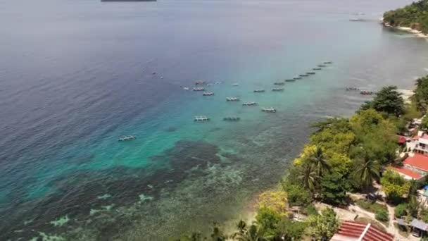 Tiburones Ballena Viendo Filipinas Oslob Imágenes Alta Calidad Dron — Vídeo de stock
