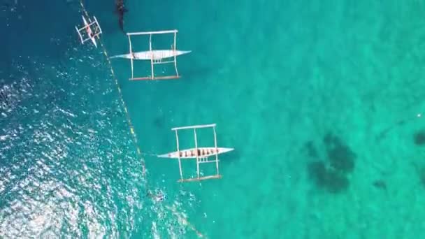 Tiburones Ballena Con Barcos Océano Filmando Desde Dron Imágenes Alta — Vídeo de stock