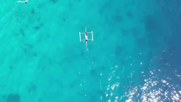 Tiburones Ballena Con Barcos Océano Filmando Desde Dron Imágenes Alta — Vídeos de Stock