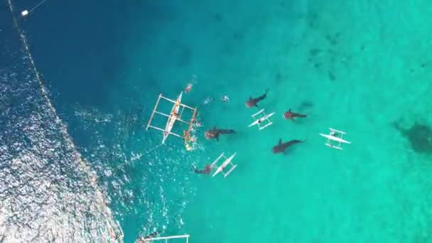 Bálna Cápák Csónakokkal Óceánban Amint Egy Drónról Filmeznek Kiváló Minőségű — Stock videók