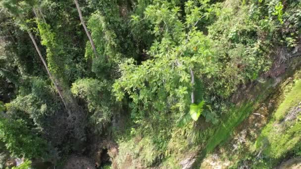 Запись Беспилотника Красивым Водопадом Филиппинах Голубой Зеленой Водой Глубоком Ущелье — стоковое видео