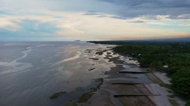 Gente Cosecha Mariscos Marea Baja Una Isla Tropical Puesta Sol — Vídeo de stock