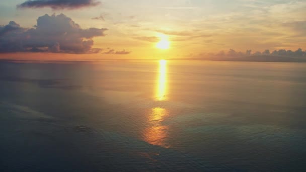 Восход Солнца Тропическом Острове Высококачественные Кадры Ладони — стоковое видео