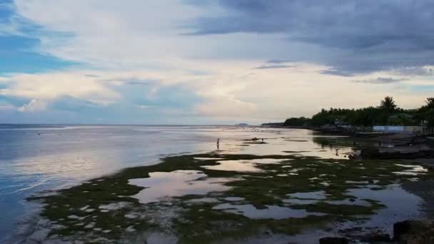 Люди Збирають Морепродукти Низькому Припливі Тропічному Острові Захід Сонця Сонце — стокове відео
