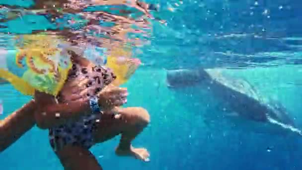 Kislány Úszás Anyával Bálna Cápák Maszk Búvár Filippínó Oslob Lány — Stock videók