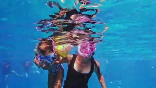 Niña Nadando Con Mamá Tiburones Ballena Con Máscara Snorkel Philippines — Vídeo de stock