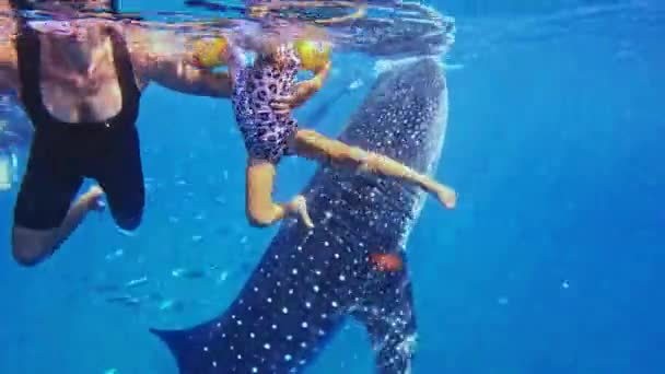 小女孩与妈妈和鲸鱼一起 带着面具和潜水的鲨鱼一起游泳 5岁的女儿和妈妈与鲸鱼一起游泳 高质量的4K镜头 — 图库视频影像