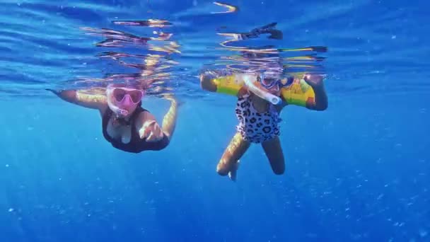 Csajok Búvárkodnak Bálnákkal Óceánban Kislány Úszkál Bálnákkal Kiváló Minőségű Felvételek — Stock videók