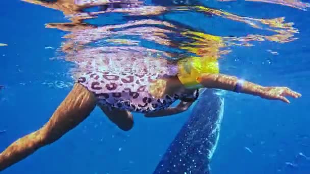 Fille Tubas Avec Des Requins Baleines Dans Océan Petite Fille — Video