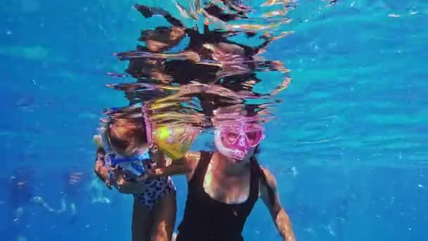 Csajok Búvárkodnak Bálnákkal Óceánban Kislány Úszkál Bálnákkal Kiváló Minőségű Felvételek — Stock videók