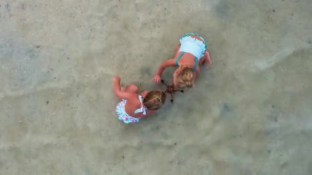 Two Little Twins Girl Found Red Starfish Play White Sand — Stock Video