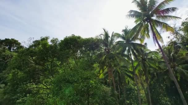 Красуня Гарячому Джерелі Тропічному Острові Кадри Високої Якості — стокове відео