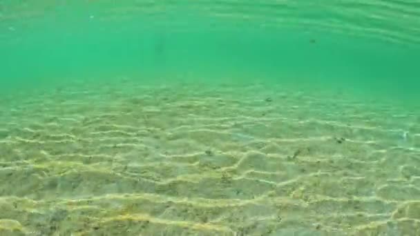 Підводні Зйомки Сонячної Дрібної Океанічної Води Високоякісні Кадри — стокове відео