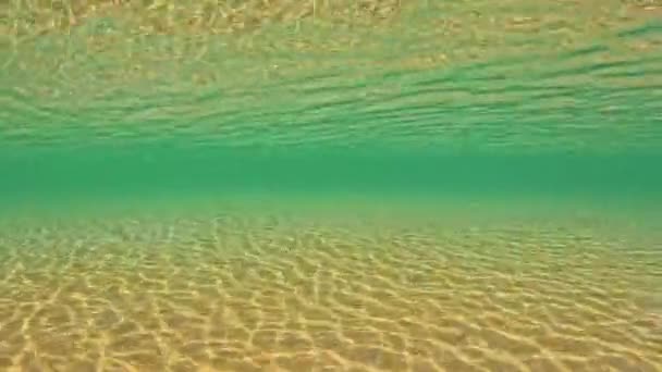 Підводні Зйомки Сонячної Дрібної Океанічної Води Високоякісні Кадри — стокове відео