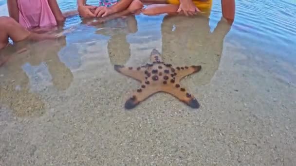 Triplet Kardeşler Sahilde Deniz Yıldızıyla Oynuyorlar Yüksek Kalite Görüntü — Stok video