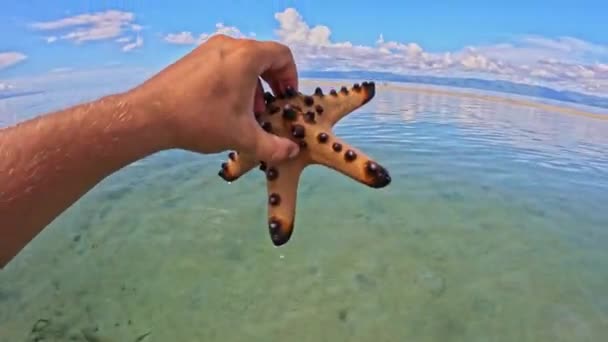 海滩上的红海星手牵着手高质量的4K镜头 — 图库视频影像