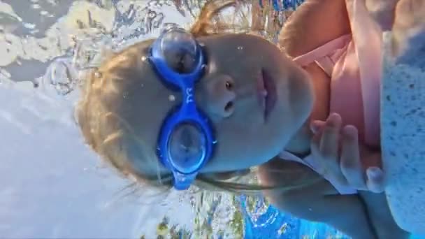 Mała Dziewczynka Lat Pływa Pod Wodą Basenie Wysokiej Jakości Materiał — Wideo stockowe