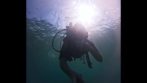 Mari Femme Plongée Sous Marine Images Haute Qualité — Video