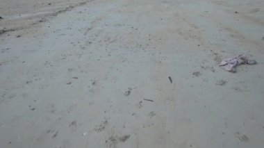 Tropik sahil adasında gün batımında balıkçı tekneleri. Yüksek kalite 4k görüntü