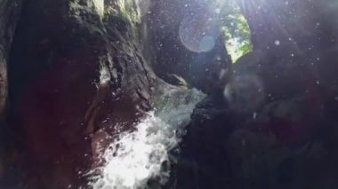 Tropikal ormanda şelale. Yüksek kalite 4k görüntü