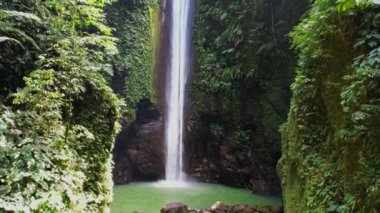 Tropikal ormanda şelale. Yüksek kalite 4k görüntü