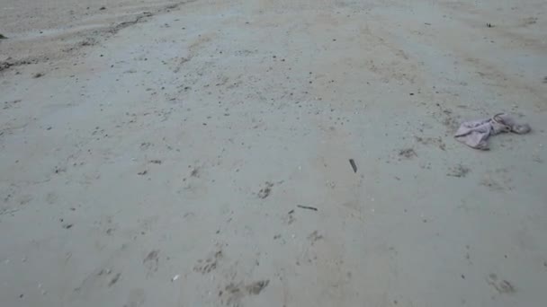 Vissersboten Zonsondergang Tropisch Strand Eiland Hoge Kwaliteit Beeldmateriaal — Stockvideo