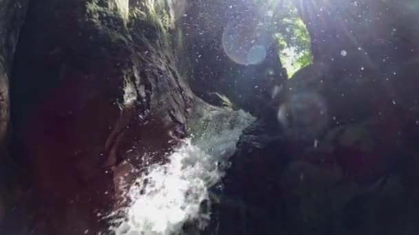 Cachoeira Selva Tropical Imagens Alta Qualidade — Vídeo de Stock