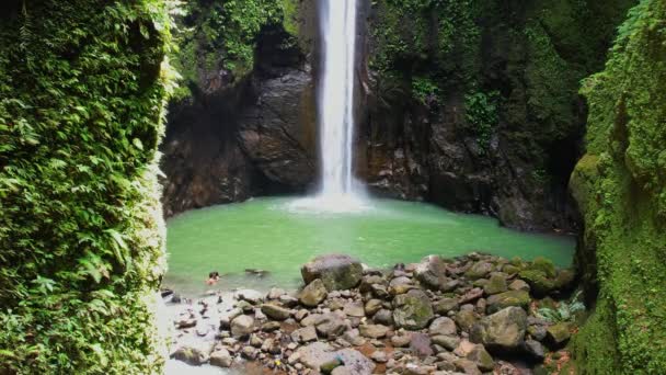 Cascada Selva Tropical Imágenes Alta Calidad — Vídeo de stock